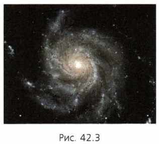 ������ ���������