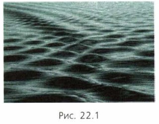 �������� ����