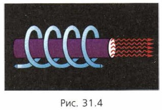 ����� �������