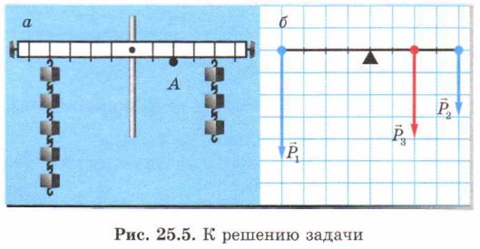 . 25.5