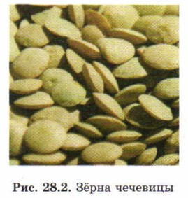 Ǹ��� ��������