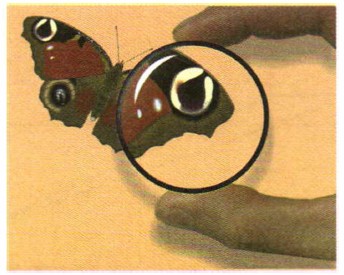 ������ ������ ����������� �����������, �������� ���������� ������