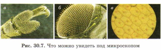 ��� ����� ������� ��� �����������