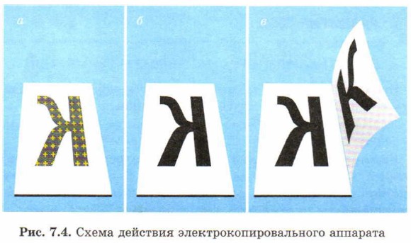 ����� �������� ��������������������� ��������