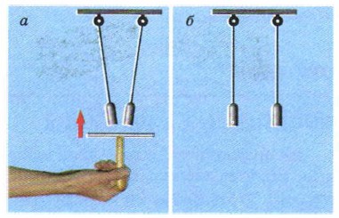 ����, ������������, ��� ������ �������� �����������