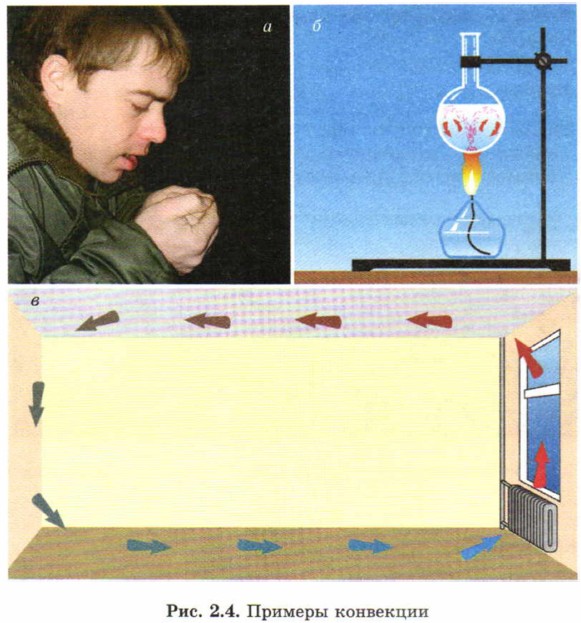 ������� ���������