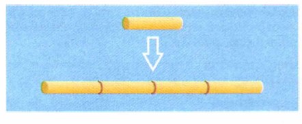 ���������� ����, ������ ������������� ������� ��������������� ��� �����