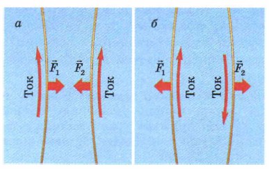 �������������� �����������, �� ������� ����� ����