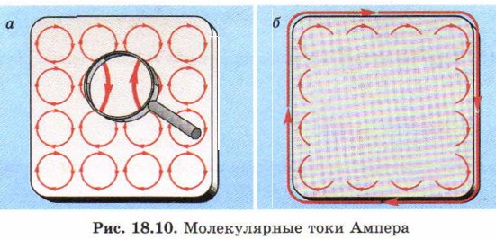 ������������ ���� ������