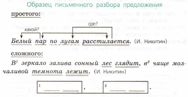 Разбор предложения 6 класс